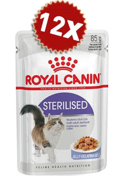 Royalcanin Jelly Kısırlaştırılmış Kedi Konservesi 85 gr x 12 Adet