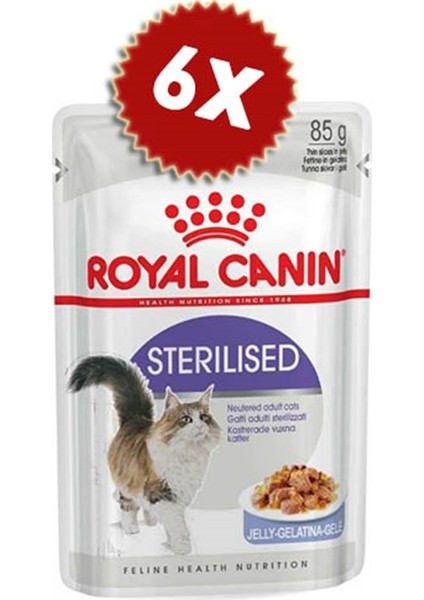 Royalcanin Jel Kısırlaştırılmış Kedi Konservesi 85 gr x 6 Adet