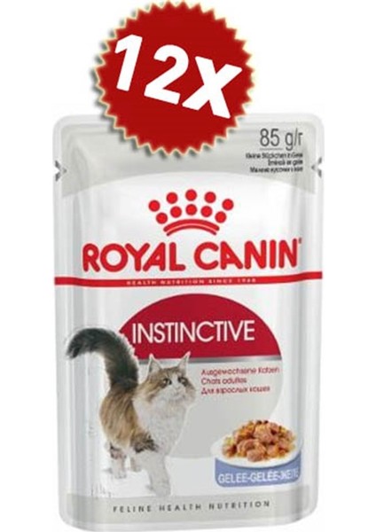 Instinctive Jelly Yetişkin Kedi Maması 85 grX12ADET