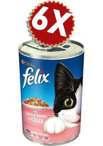 Felix Somonlu Kedi Konserve 400 gr 6 Adet Avantaj Paketi