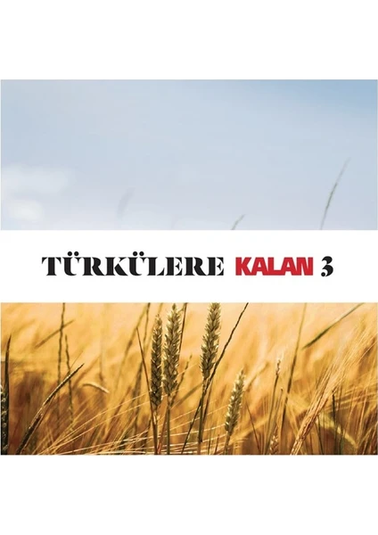 Türkülere Kalan 3 - Çeşitli Sanatçılar - 2 CD