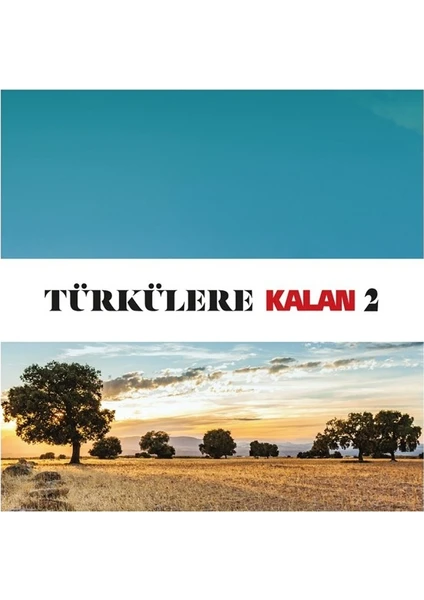 Türkülere Kalan 2 - Çeşitli Sanatçılar - 2 CD