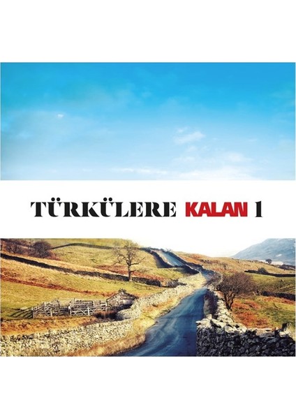 Türkülere Kalan 1 - Çeşitli Sanatçılar - 2 CD