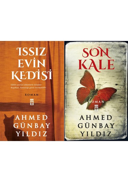 İssız Evin Kedisi - Son Kale - Ahmed Günbay Yıldız - 2 Kitap Set