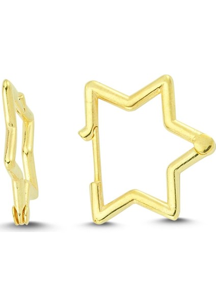 Trend Star Gümüş Küpe - Rose - Standart
