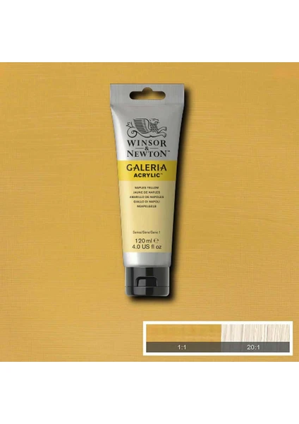 Winsor & Newton Galeria Akrilik Boya 120 ml Naples Yellow