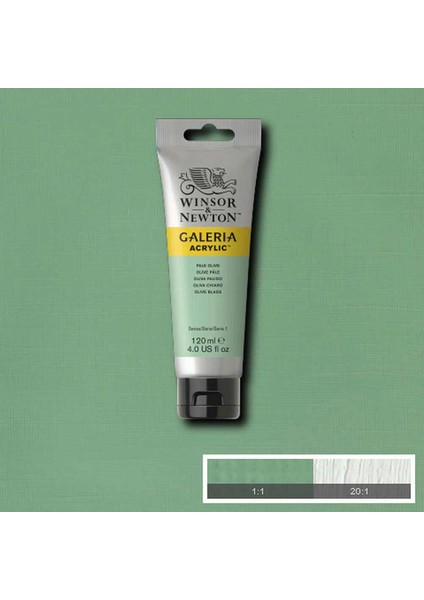 Galeria Akrilik Boya 120 ml Pale Olive 435