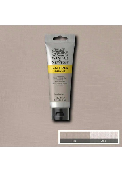 Galeria Akrilik Boya 120 ml Pale Umber 438