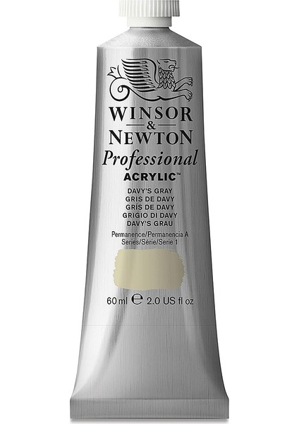 Professional Akrilik Boya 60 ml Davy's Gray 217 S.1