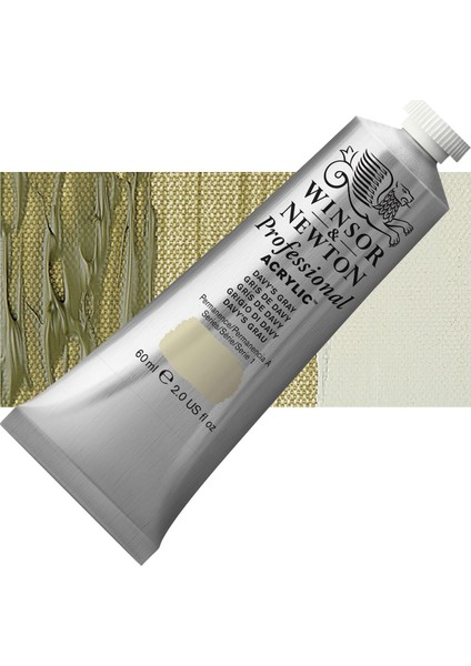 Professional Akrilik Boya 60 ml Davy's Gray 217 S.1