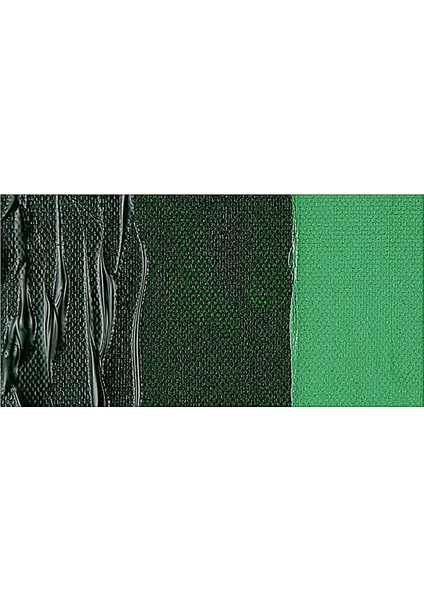 Professional Akrilik Boya 60 ml Hooker's Green 311 S.3