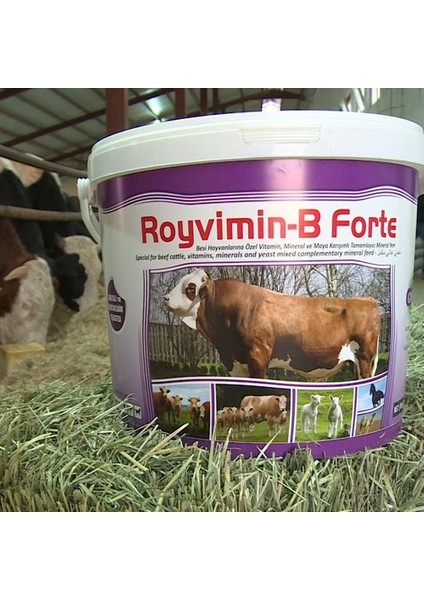 Royal İlaç Royal Royvimin B Forte Kova- 25 kg Maya + Vitamin + Mineral