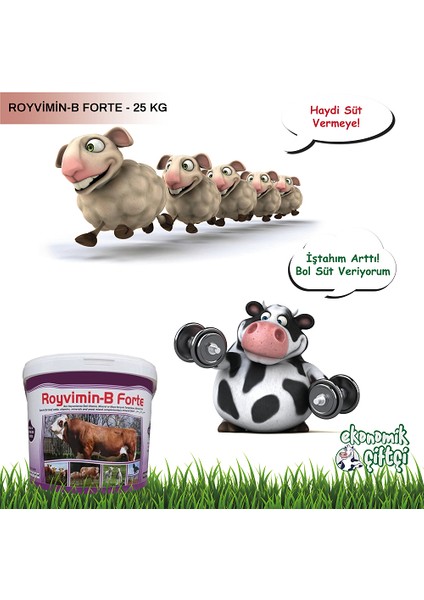 Royal İlaç Royal Royvimin B Forte Kova- 25 kg Maya + Vitamin + Mineral