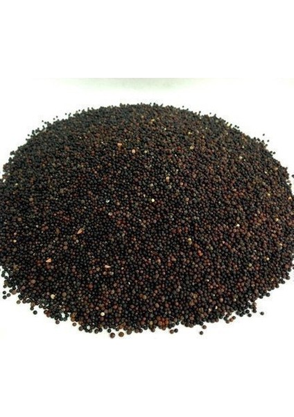 Benimaktar Hardal Tohumu Siyah Yeni Mahsül 1 kg fiyatları