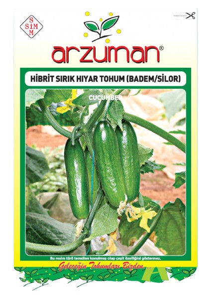 Sırık Salatalık Tohumu Badem Silor 10' lu Tohum fiyatları