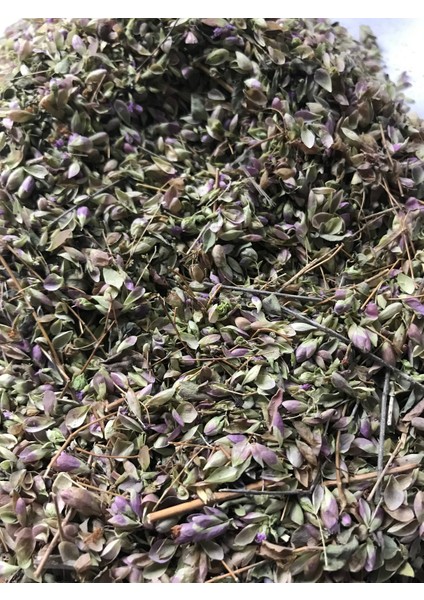 Soğan (Güve,patlıcan) Otu 50 gr modelleri