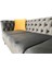 Antirisit Modern Gri Chesterfield 4