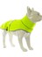 dogs Softshell Neon Sarı Köpek Yağmurluğu 1