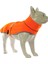 dogs Softshell Neon Turuncu Köpek Yağmurluğu 1