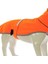dogs Softshell Neon Turuncu Köpek Yağmurluğu 2