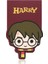 Harry Potter Mıknatıslı Kitap Ayracı 2