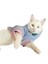 Softie Blue Bunny Kapsonlu Sweatshirt Kedi Süeteri Kedi Kıyafeti 2