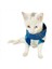 Blue Stars Su Itici Yağmurluk Kedi Yağmurluğu 5