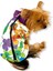 Flower Power Su Itici Yağmurluk Köpek Yağmurluğu 2