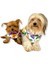 Flower Power Su Itici Yağmurluk Köpek Yağmurluğu 3