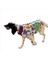 Flower Power Su Itici Köpek Yağmurluğu , Orta ve Büyük Irklar Için Yağmurluk 1