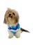 Blue Waves Su Itici Yağmurluk Köpek Yağmurluğu 3