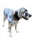 Blue Nautica Su Itici Köpek Yağmurluğu , Orta ve Büyük Irklar Için Yağmurluk 5