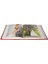 100'LÜK 13x18cm. Kırmızı Deri Pencereli Fotoğraf Albümü 2