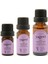 Lavanta ( Melez ) Uçucu Yağı 10 ml 3