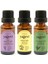 Lavanta Uçucu Yağı 20 ml + Limon Uçucu Yağı 20 ml + Çay Ağacı Uçucu Yağı 20 ml 3'lü Set Büyük Boy 2