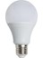 12W LED Ampul 3200K Günışığı E27 Duylu CT-4266G 1