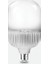 30W LED Ampul 3000K Günışığı E27 T100 ACK-AA13-03020 1