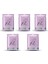 Natural Skin Kil Içerikli Leke Karşıtı ve Aydınlatıcı MASKE15 ml 5'li Set 1