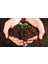 Murat Tohum Zengin Karışım Çiçek Toprağı Özel Karışım 2 Litre Bonsai Ağacı Toprağı 1