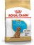 Royal Canin Poodle Junior Yavru Köpek Maması 3 kg 1