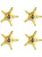 Deniz Yıldızı Magnet 1