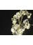Elmas LED 3