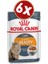 Intense Beauty Gravy Kedi Konserve 85 gr x 6 Adet 1