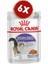 Royalcanin Jel Kısırlaştırılmış Kedi Konservesi 85 gr x 6 Adet 1