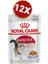 Instinctive Jelly Yetişkin Kedi Maması 85 grX12ADET 1