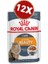 Intense Beauty Gravy Kedi Konserve 85 gr x 12 Adet 1