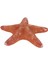 Deniz Yıldızı-Orman 4-6" 1