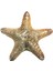 Deniz Yıldızı-Orman 4-6" 2
