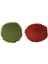 Cichlid Algae 250 ml + Cichlid Colour Chips 250 ml Balık Yemi 2