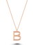 Harfli Gümüş Kolye Rose - Z Harfi - Standart - ALV006-2065 1